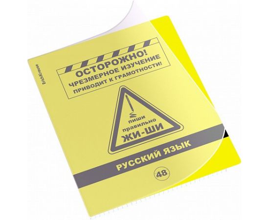 Тетрадь общая ученическая с пластиковой обложкой на скобе ErichKrause Be Informed, Русский язык, 48 листов, линейка 048055254-59480