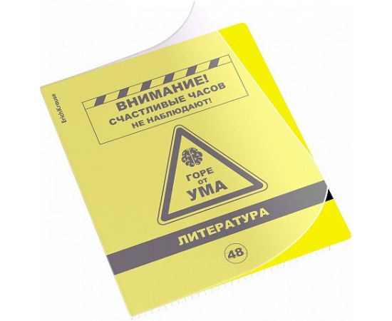 Тетрадь общая ученическая с пластиковой обложкой на скобе ErichKrause Be Informed, Литература, 48 листов, линейка 048055254-59481
