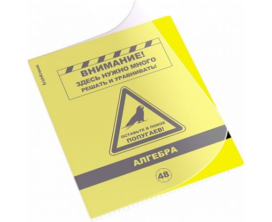 Тетрадь общая ученическая с пластиковой обложкой на скобе ErichKrause Be Informed, Алгебра, 48 листов, клетка 048055254-59482