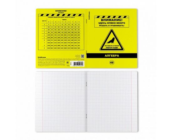 Тетрадь общая ученическая с пластиковой обложкой на скобе ErichKrause Be Informed, Алгебра, 48 листов, клетка 048055254-59482
