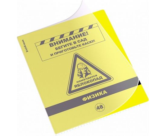 Тетрадь общая ученическая с пластиковой обложкой на скобе ErichKrause Be Informed, Физика, 48 листов, клетка 048055254-59484