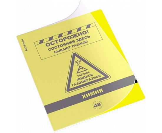 Тетрадь общая ученическая с пластиковой обложкой на скобе ErichKrause Be Informed, Химия, 48 листов, клетка 048055254-59485