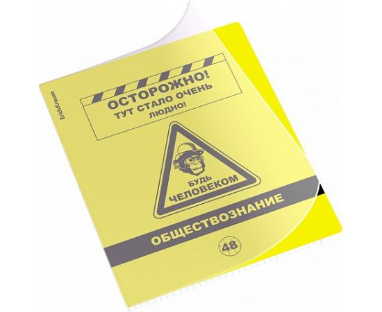 Тетрадь общая ученическая с пластиковой обложкой на скобе ErichKrause Be Informed, Обществознание, 48 листов, клетка 048055254-59489