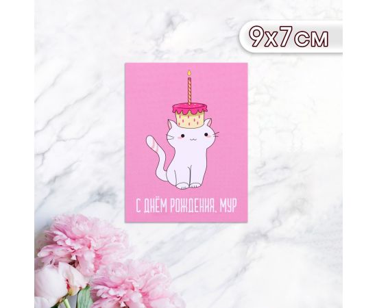 Мини-открытка «С Днём Рождения! Мур!», 9×7 см 10485906