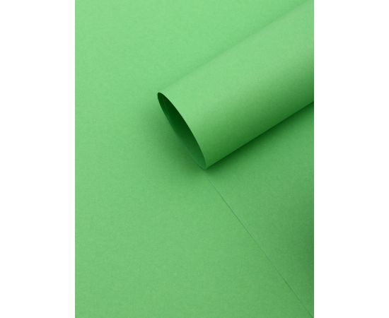 Бумага упаковочная крафт «Зеленый»,50×70 см 10779017