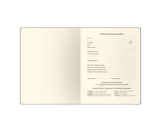 Дневник 1-11 кл. 48л. ЛАЙТ Greenwich Line "Your mood", иск. кожа, 3D УФ-печать, выб. лак, тон. блок, ляссе DSK_46880