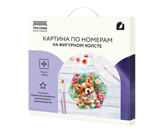 Картина по номерам на фигурном холсте ТРИ СОВЫ "Корги в цветах", форма многоугольник, с акриловыми красками и кистями FCF30_00010