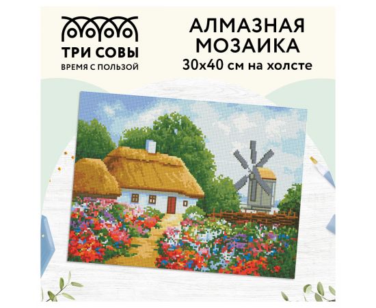 Алмазная мозаика ТРИ СОВЫ "Хутор", 30*40см, холст, картонная коробка с пластиковой ручкой АМ3040_47529