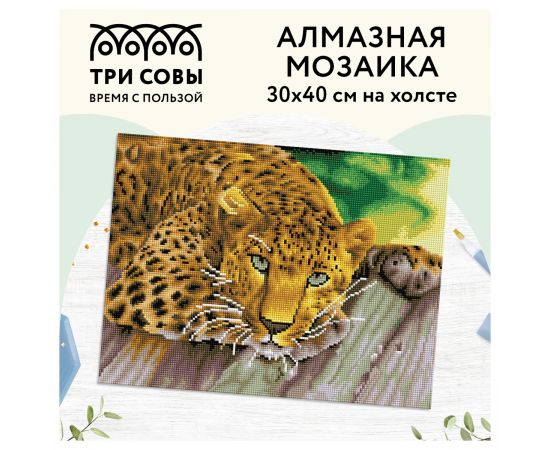 Алмазная мозаика ТРИ СОВЫ "Леопард", 30*40см, холст, картонная коробка с пластиковой ручкой АМ3040_47534