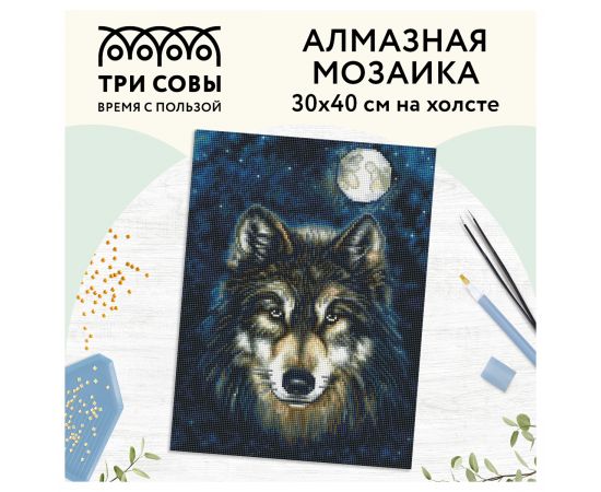 Алмазная мозаика ТРИ СОВЫ "Волк", 30*40см, холст, картонная коробка с пластиковой ручкой АМ3040_47537
