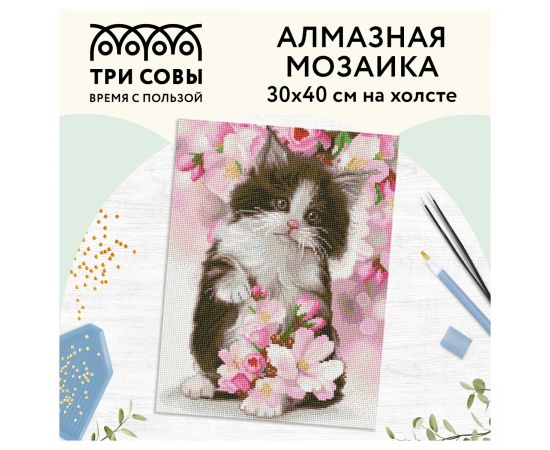 Алмазная мозаика ТРИ СОВЫ "Котенок в цветах", 30*40см, холст, картонная коробка с пластиковой ручкой АМ3040_47538