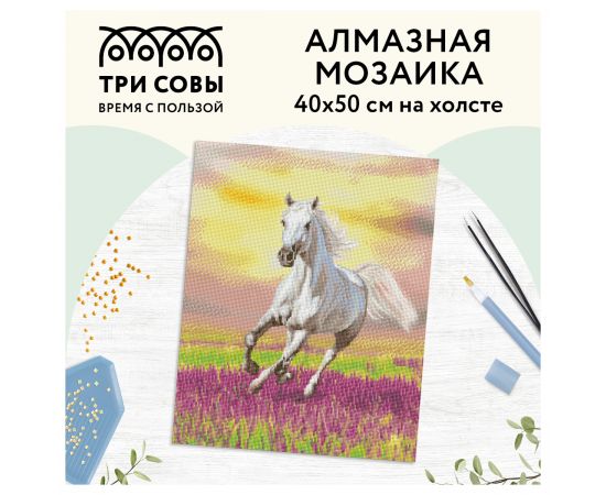 Алмазная мозаика ТРИ СОВЫ "Свобода", 40*50см, холст, картонная коробка с пластиковой ручкой АМ4050_47564