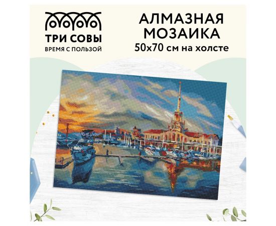 Алмазная мозаика ТРИ СОВЫ "Сочи", 50*70см, холст, картонная коробка с пластиковой ручкой АМ5070_47581