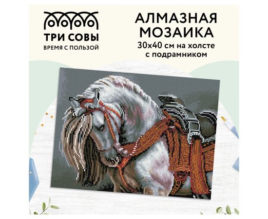 Алмазная мозаика ТРИ СОВЫ "Богатырский конь", 30*40см, холст на деревянном подрамнике, картонная коробка с пластиковой ручкой АМП3040_47599