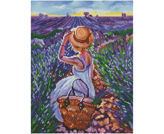 Алмазная мозаика ТРИ СОВЫ "Лавандовое лето", 30*40см, холст на деревянном подрамнике, картонная коробка с пластиковой ручкой АМП3040_52950