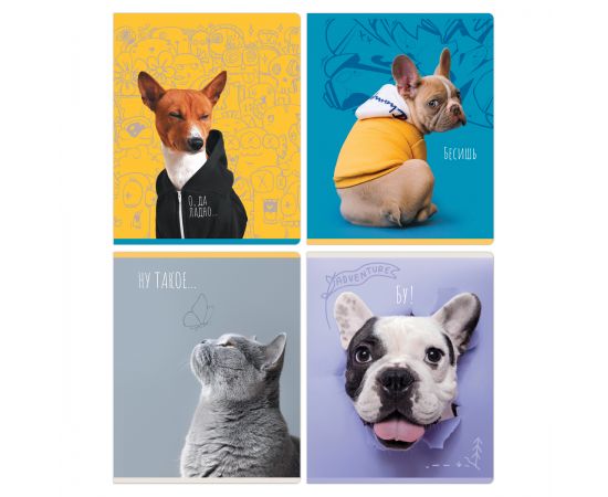 Тетрадь 96л., А5, линия BG "Гав-мяу" Т5ск96 12094