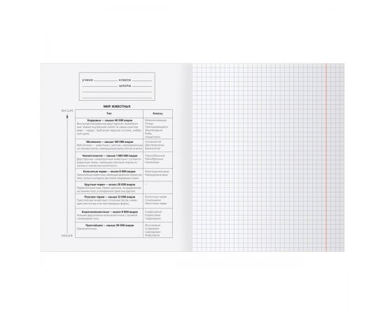 Тетрадь предметная 48л. BG "Single colour" - Биология, эконом ТПск48 63777