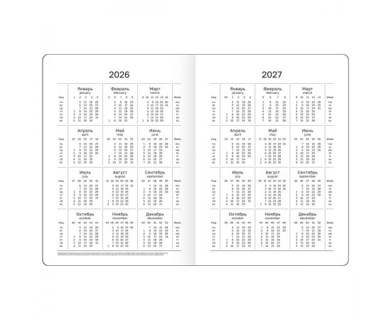 Ежедневник датированный 2026, А6, 7БЦ BG"Monochrome. Matcha", мятный, soft touch DdА6_09625