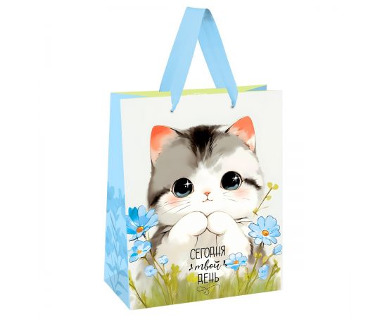 Пакет подарочный 18*23*10см MESHU "Cute kitten", матовая ламинация MS_66121