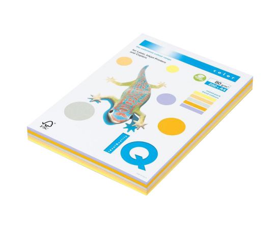 Бумага IQ "Color Trend Mixed Packs" А4, 80г/м2, 250л. (5 цветов) RB03