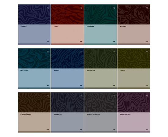 Комплект (12 шт.) предметных тетрадей 48л. BG "Single colour", эконом ТПК5ск48 63721