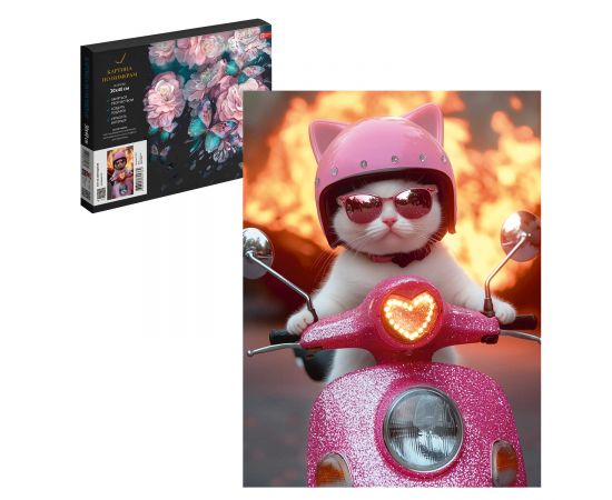 Набор для творчества Картина по номерам арт. 71257 / 24 КОТ НА МОТОЦИКЛЕ, размер: 30х40 см, (19 цвета (-ов), холст на  деревянном подрамнике с напечатанной схемой рисунка, контрольный лист с нанесенной схемой, краски акриловые на водной основе (упако 71257