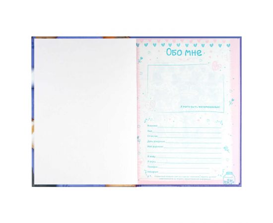 Анкета для друзей, формат А5, 145х205 мм, 128 листов, твёрдый переплёт 7БЦ, глянцевая ламинация, тиснение фольгой, 72284