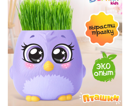 Набор для опытов, для детей «Пташки, выращиваем травку», растение в фиолетовом горшочке 5155390