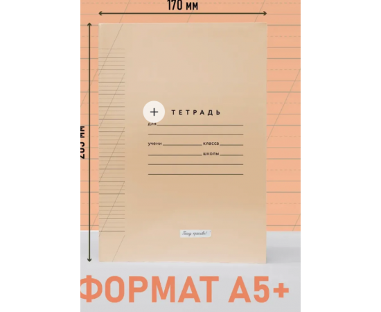 Тетрадь 12л., "Узкая разлиновка с редкой косой" (№4), бежевая 46071774552070