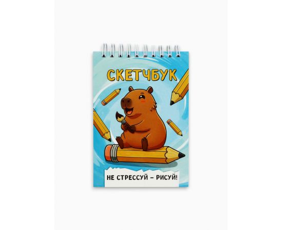 Скетчбук А6, 80 л., 100 г/м² «Капибара» 10958456