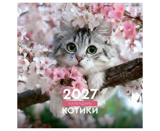 Календарь настенный перекидной на скрепке, 230*230 мм 12л. BG "Котики", 2027г. 390943