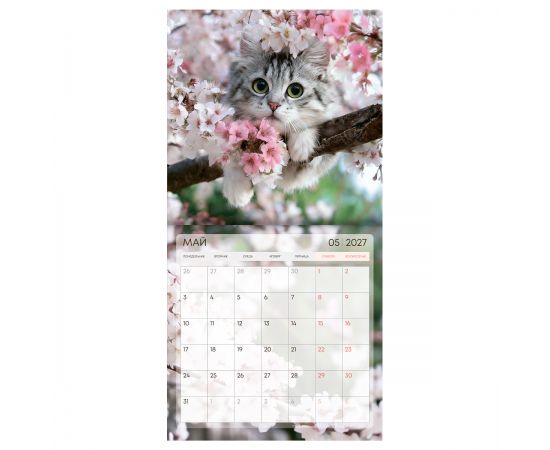 Календарь настенный перекидной на скрепке, 230*230 мм 12л. BG "Котики", 2027г. 390943