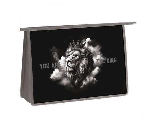Папка для труда 2 отделения, А4, ArtSpace "King", пластик, на молнии ПТР22_PH0001