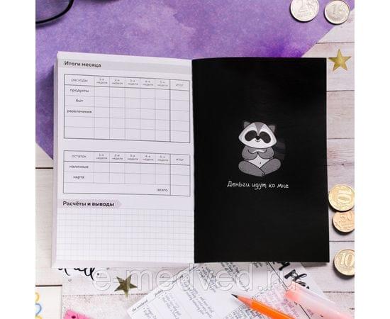 Умный блокнот CashBook А6, 68 листов «Советы енотика» 4201509