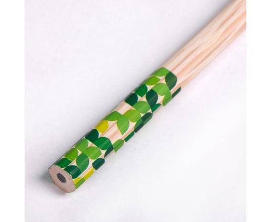 Карандаш ч/г Berlingo "Green Series" HB, шестигран., заточен., пластиковый, ассорти BP00860